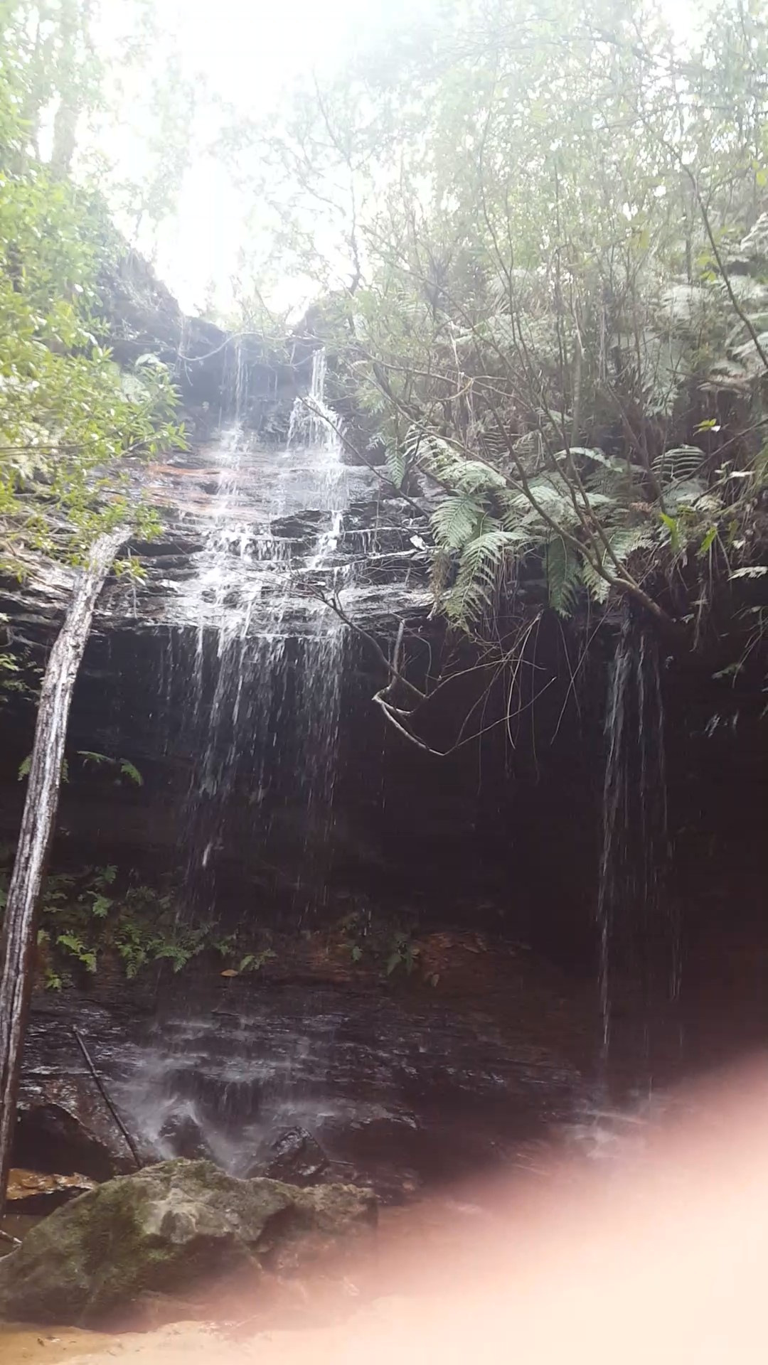 Junction Falls again